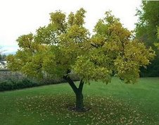 Save a tree, don't print things that don't need to be printed!